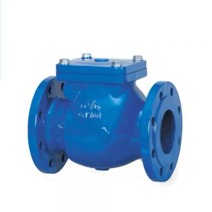 EN-558-1-SERİ-10-(BS-5153)-ÇALPARA-ÇEKVALF
